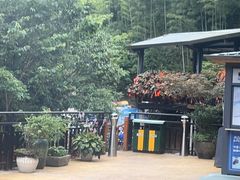 -将军关探险漂流