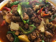 特色宽粉大盘鸡-老字号大盘鸡·丸子汤·抓饭