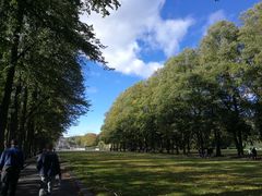 -维格兰雕塑公园