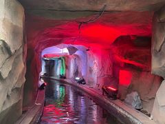 -南宫五洲植物乐园