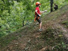 -大果情商(亲藤店)
