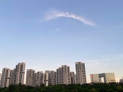 -五缘湾湿地公园