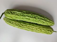 苦瓜-北京清河镇农副产品交易市场中心