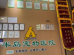 -半岛宠物医院24小时·内窥镜·牙科·碎石中心(府城大道店)