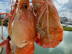 -七的湖·江南蟹舫·阳澄湖农家菜(蟹舫苑店)