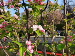 -元大都城垣遗址公园