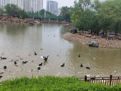 -青藏高原野生动物园
