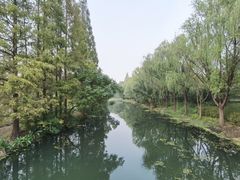 -昆山城市生态森林公园