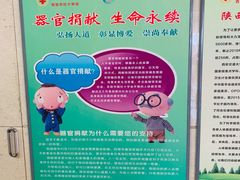 -西安交通大学第一附属医院(总院)