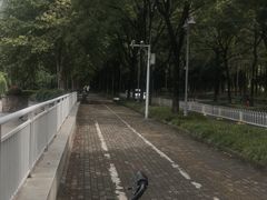 -后襄河公园