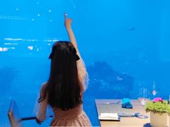 -海棠湾洲际-涛·海底餐厅·美人鱼·自助餐·海底隧道