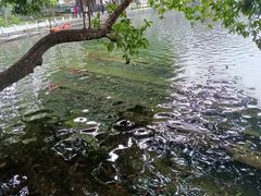 -荔湾湖公园