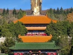 -中原大佛景区