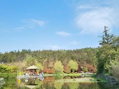 -南京银杏湖乐园