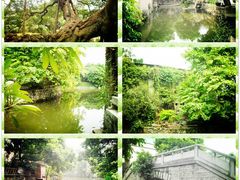 -小洲村