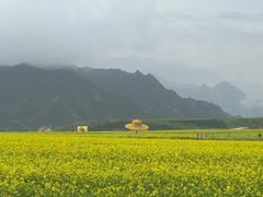 -扁都口生态休闲旅游区