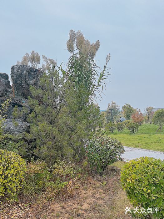 洛阳古墓博物馆图片