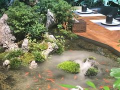 -森味薪火烧•烧鸟居酒屋•日本料理(望京店)