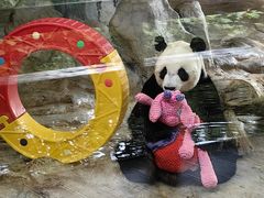 -海南热带野生动植物园
