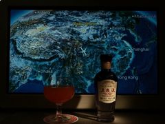 -米兰-马尔彭萨机场