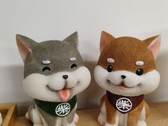 -柴迷FANS CLUB·柴犬狗咖·猫咖
