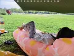 -上海共青森林公园