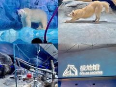 -广州融创水世界