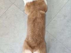 -汪说·狗咖(旺城大厦店)