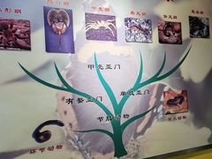 -上海昆虫博物馆