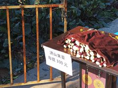 -宝通禅寺