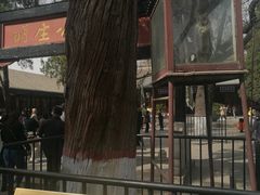 -保定直隶总督署博物馆