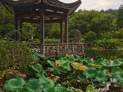 -杭州雅谷泉山庄酒店-餐厅