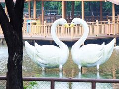 -深圳野生动物园