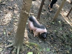 iphone_upload_pic-昆山城市生态森林公园