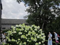 -张学良旧居陈列馆