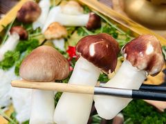 -慢丽江·云南野生菌土鸡锅(付家庄店)