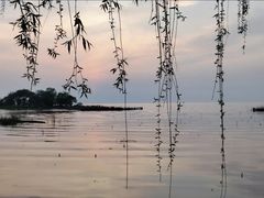 -湖山人家·湖景餐厅·特色农家菜(太湖西山店)