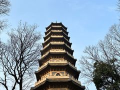 -灵谷景区