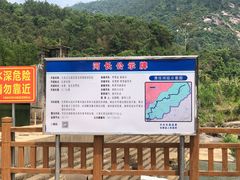 -九龙江国家森林公园