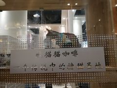 门面-藏猫猫咖啡主题馆(中央大道店)