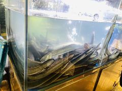 -本炙炭烤·蒲烧活鳗料理店(金沙洲店)