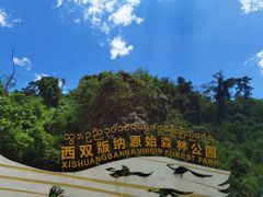 -西双版纳原始森林公园