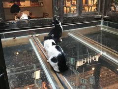 -猫的天空之城概念书店(杭州南宋御街店)