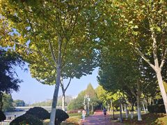 -滨湖塘西河公园