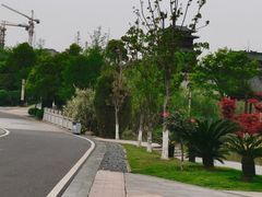 -艾溪湖湿地公园