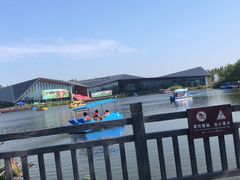 -上海长兴岛郊野公园
