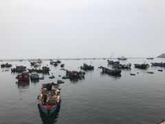 -枸杞岛