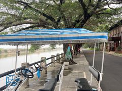 -大湾区中央湿地公园