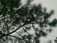 -美兰湖景区
