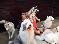 -TrueLove @ Neverland (Husky Cafe)